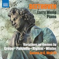 Naxos Deutschland Musik & Video Vertriebs-GmbH / Poing Variations on themes by GrtryPaisielloRighini