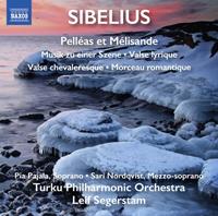 Naxos Deutschland Musik & Video Vertriebs-GmbH / Poing Pelleas et Melisande/Valse lyrique/+