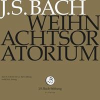 Naxos Deutschland GmbH / J.S. Bach-Stiftung Weihnachtsoratorium,Bwv 248