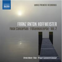 Naxos Deutschland Musik & Video Vertriebs-GmbH / Poing Flötenkonzerte Vol.2