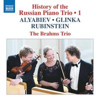 Naxos Deutschland Musik & Video Vertriebs-GmbH / Poing History of the Russian Piano TrioVol.1