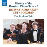 Naxos Deutschland Musik & Video Vertriebs-GmbH / Poing History of the Russian Piano TrioVol.3