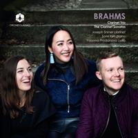 Naxos Deutschland Musik & Video Vertriebs-GmbH / Poing Brahms: Klarinettentrios und Sonaten