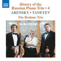 Naxos Deutschland Musik & Video Vertriebs-GmbH / Poing History of the Russian Piano TrioVol.4