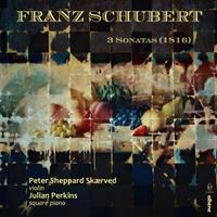 Naxos Deutschland Musik & Video Vertriebs-GmbH / Poing Franz Schubert: 3 Sonatas (1816)