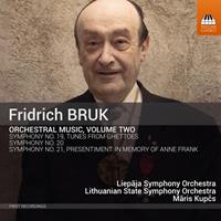 Naxos Deutschland Musik & Video Vertriebs-GmbH / Poing OrchestermusikVol.2