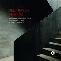 Naxos Deutschland Musik & Video Vertriebs-GmbH / Poing Beethoven & Brahms: Klarinettentrios