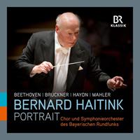 Naxos Deutschland Musik & Video Vertriebs-GmbH / Poing Bernhard Haitink-Portrait