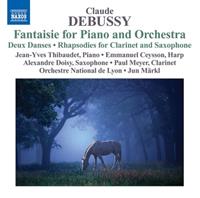 Naxos Deutschland Musik & Video Vertriebs-GmbH / Poing Fantasie für Klavier und Orchester/+