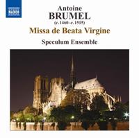 Naxos Deutschland Musik & Video Vertriebs-GmbH / Poing Missa De Beata Vergine