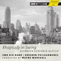 Naxos Deutschland Musik & Video Vertriebs-GmbH / Poing Rhapsody in Swing