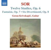 Naxos Deutschland Musik & Video Vertriebs-GmbH / Poing 12 Studien/Fantasie/6 Divertimenti