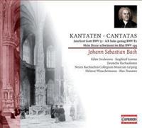 Naxos Deutschland Musik & Video Vertriebs-GmbH / Poing Kantaten BWV 5182+199