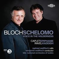 Naxos Deutschland Musik & Video Vertriebs-GmbH / Poing Schelomo/Voice In The Wilderness