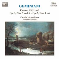 Naxos Deutschland Musik & Video Vertriebs-GmbH / Poing Concerti Grossi Vol.2