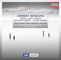 Naxos Deutschland GmbH / Kirchheim Cantus/Ollea/Arietta/Solo/Ni Una Sombra