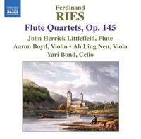 Naxos Deutschland Musik & Video Vertriebs-GmbH / Poing Flötenquartette op.145 1-3