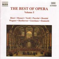 Naxos Deutschland GmbH / Kirchheim Best Of Opera Vol.5
