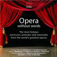 Naxos Deutschland Musik & Video Vertriebs-GmbH / Poing Opera Without Words