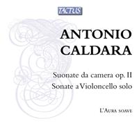 Naxos Deutschland Musik & Video Vertriebs-GmbH / Poing Suonate da camera/Sonate a Violoncello solo