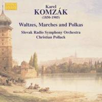 Naxos Deutschland Musik & Video Vertriebs-GmbH / Poing Walzer Märsche Und Polkas 2