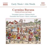 Naxos Deutschland Musik & Video Vertriebs-GmbH / Poing Carmina Burana