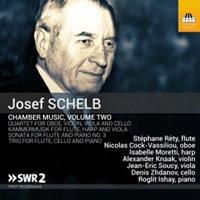 Naxos Deutschland GmbH / TOCCATA CLASSICS Chamber Music,Volume Two