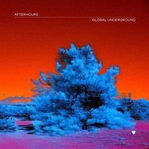 Warner Music Group Germany Hol / Global Underground Global Underground:Afterhours 9