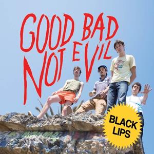 375 Media GmbH / FIRE RECORDS / CARGO Good Bad Not Evil (Deluxe Edition)
