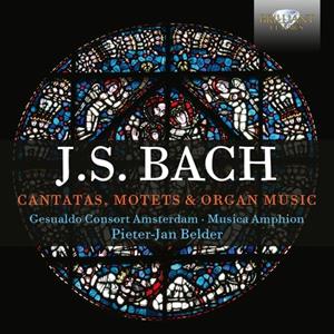 Edel Music & Entertainment GmbH / Brilliant Classics Bach,J.S.:Cantatas,Motets & Organ Music