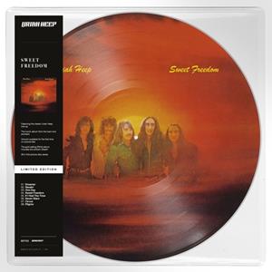 Warner Music Group Germany Hol / BMG/Sanctuary Sweet Freedom (Picture Vinyl)