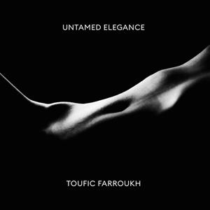 Broken Silence / Toufic Farroukh Prod. Untamed Elegance