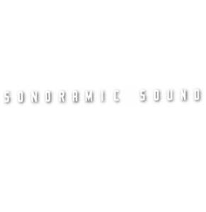 Fiftiesstore AMI F Sonoramic Sound Ruit Sticker