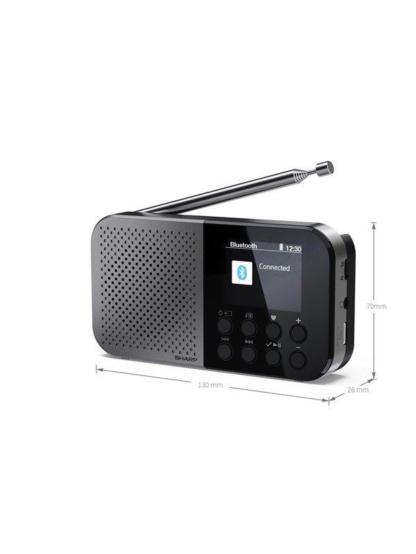 Sharp Osaka DR-P520 - DAB portable radio - no operating system - DAB/DAB+/FM - Mono
