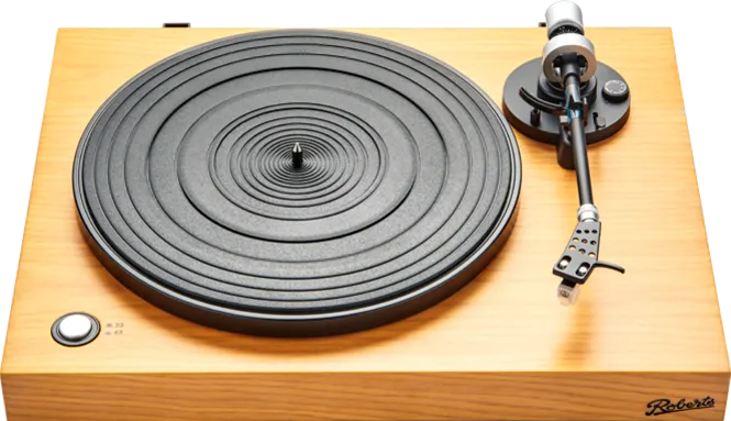 Roberts Radio Stylus Bruin