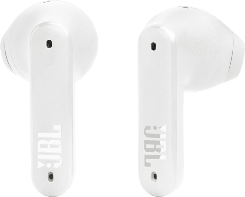 JBL Tune Flex Wit