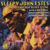 Sleepy John Estes - On The Chicago Scene