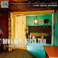 DOWN HOME SUPER TRIO - In The House - Live At Lucerne Vol.6