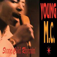 Universal Music Vertrieb - A Division of Universal Music Gmb Stone Cold Rhymin' (Vinyl)