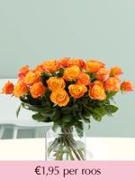 Surprose Oranje rozen - Kies je aantal | Rozen online bestellen & versturen | .nl