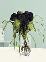 Surprose 20 zwarte rozen met panicum | Rozen online bestellen & versturen | .nl