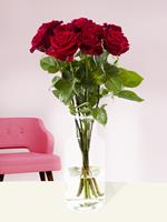 Surprose Een dozijn rode rozen - Red Naomi | Rozen online bestellen & versturen | .nl