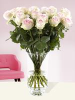 Surprose 20 zachtroze rozen - Sweet Revival | Rozen online bestellen & versturen | .nl