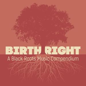 Various - Birthright - A Black Roots Music Compendium (2-CD)