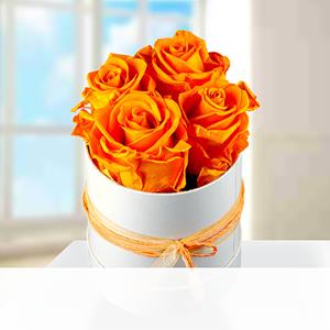 123Blumenversand 4 orange haltbare Rosen in Hutschachtel