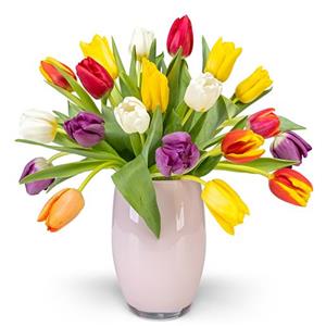 Valentins 20 bunte Tulpen