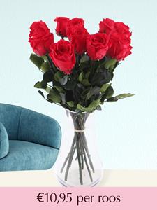 Surprose Rode long life rozen - Kies je aantal van 5 t/m 20