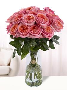 Surprose 20 roze rozen uit Ecuador