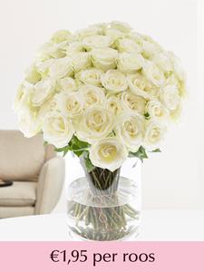 Surprose Witte rozen - Kies je aantal (Snowstorm) - 10 t/m 99 rozen