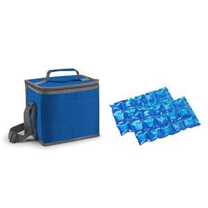 Kleine koeltas voor lunch blauw met 2 stuks flexibele koelelementen 9 liter -